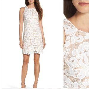 Eliza J (Nordstrom) White Lace Sheath Dress
